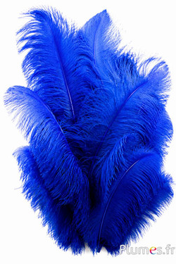 Strauss premium - 50-60 cm - blau